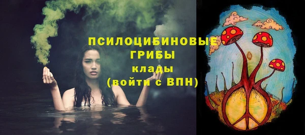 ПСИЛОЦИБИНОВЫЕ ГРИБЫ Вяземский