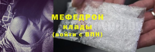 индика Волосово