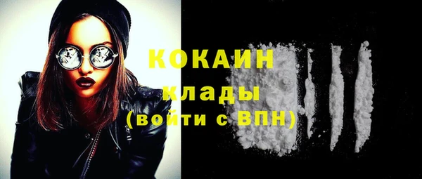 индика Волосово