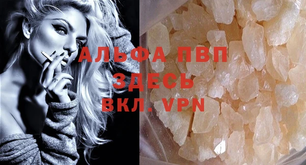индика Волосово