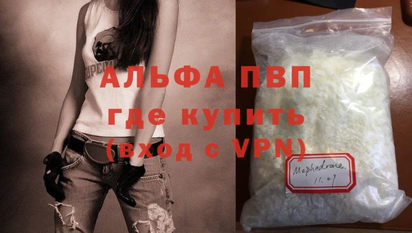 ПСИЛОЦИБИНОВЫЕ ГРИБЫ Вяземский