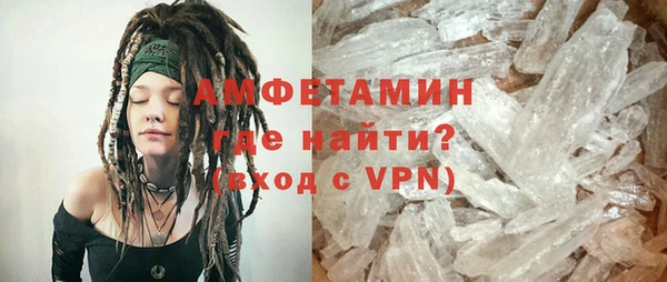 ПСИЛОЦИБИНОВЫЕ ГРИБЫ Вяземский