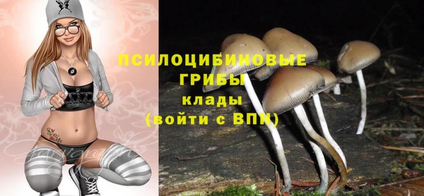 mdpv Вязники