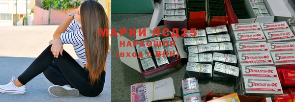 индика Волосово